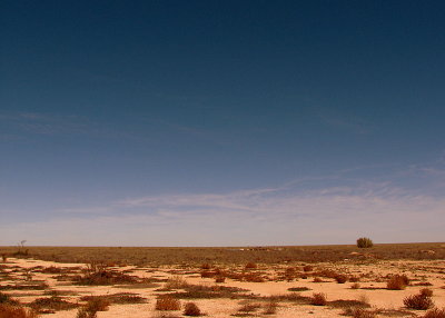 The Nullabor Plain