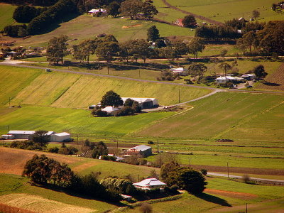 The Adelaide Hills, around the area of Piccadilly