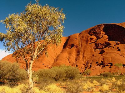 Uluru texture