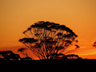 Sunset near Kalgoorlie