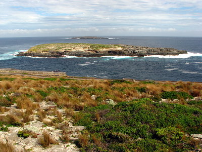 The rough south coast of Kangaroo Island