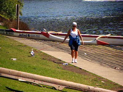 Walking the Dog along the Yarra River