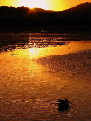 Sun sets on the Pelican and Cairns