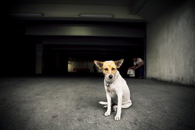 Bangkok morning walks