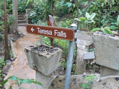 Teresa Falls
