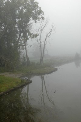Howland Island Fog