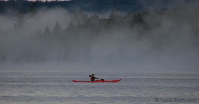 early morning paddle, Raquette Lake