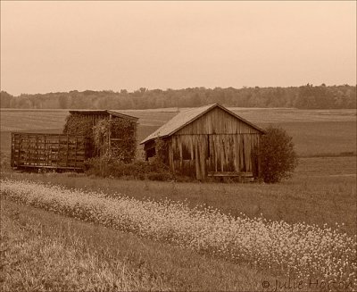 Geneva Farm Scene, Geneva NY