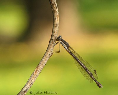 Hanging On