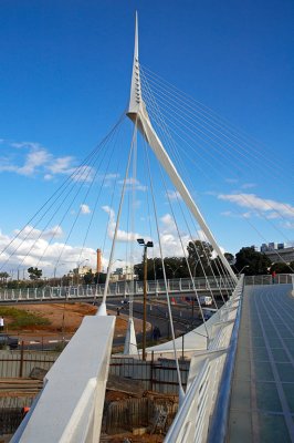 The Calatrava Bridge