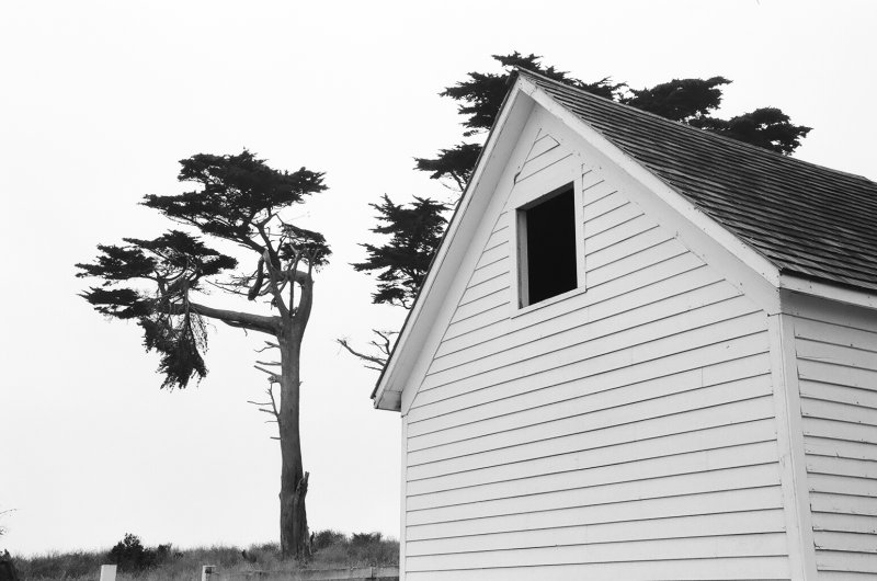 Farm Building at Point Reyes