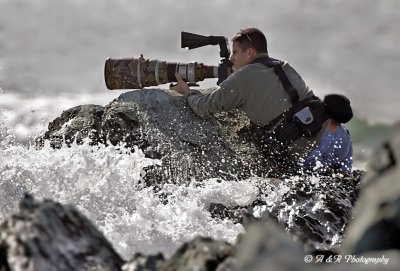 Thanks to my wife, this is a shot of me taking some shots of Common Eiders.