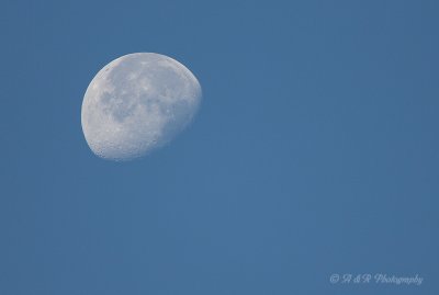 Moon pb.jpg