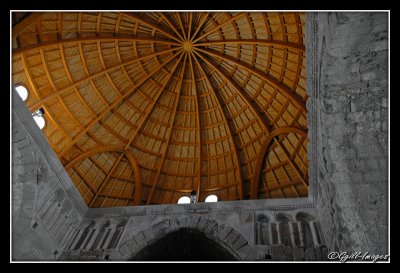 Jordan_0020