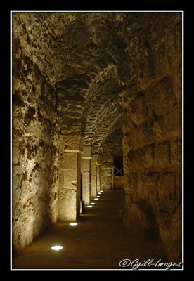 Jordan_0098