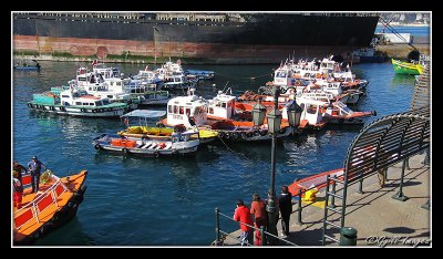 Chile036.jpg