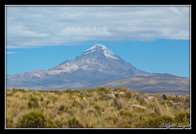 Sajama