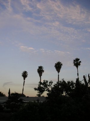 California