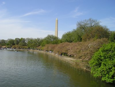 dc.jpg