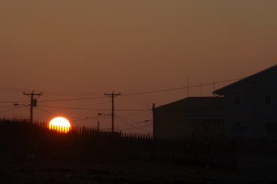 DSC_7303.jpg