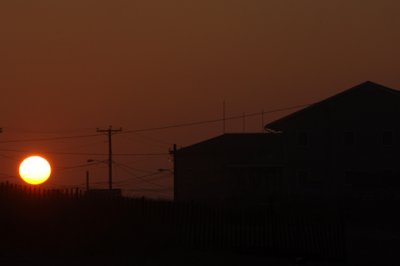 DSC_7305.jpg