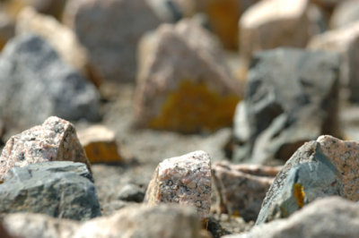 DSC_7388.jpg