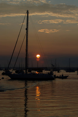 DSC_7449.jpg
