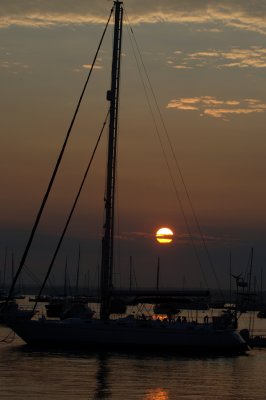 DSC_7451.jpg