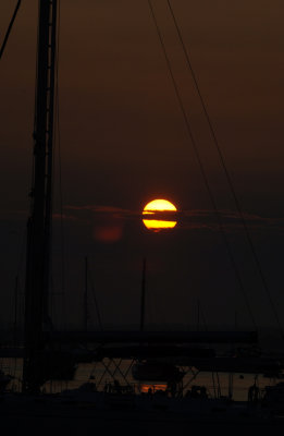 DSC_7452.jpg