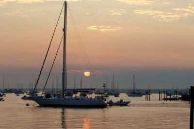 DSC_7454.jpg