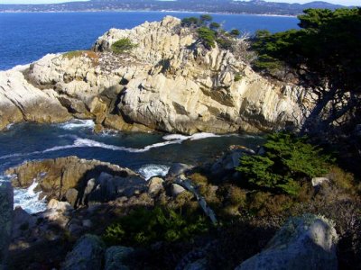 Point Lobos (Californie) - 2004