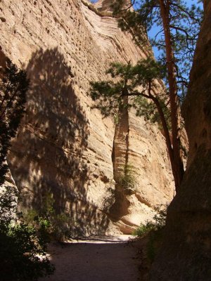 Tent Rocks