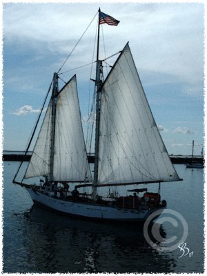 Sailboat watercolor