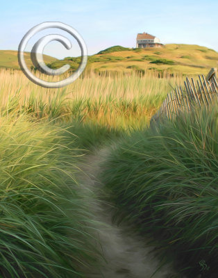 Balston Beach Path, Truro, MA
