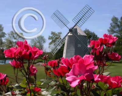 Orleans Windmill
