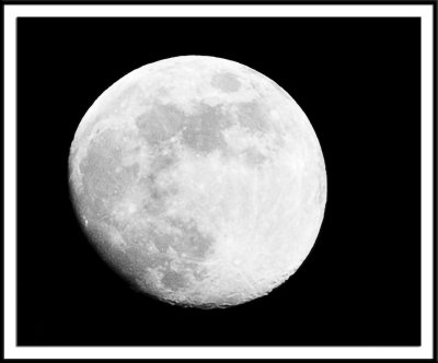 moon 7683.jpg