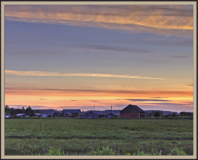 PICT9845_6_7-1.jpg