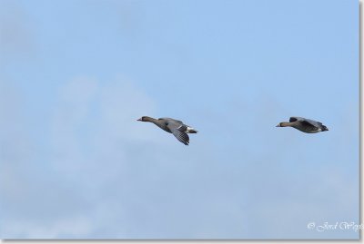 g6/05/749605/3/75988187.LtS6smJE.jpg