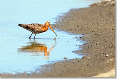 grutto_DSC_0061.JPG