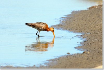 grutto_DSC_0063.JPG