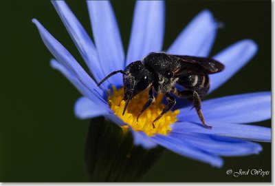 bijtje_DSC_0046.JPG