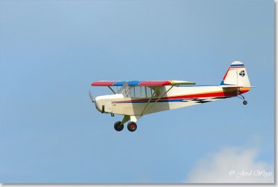 The aero scouts_DSC_22.JPG
