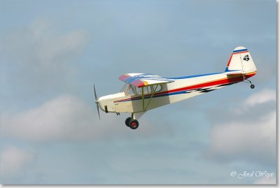 The aero scouts_DSC_24.JPG