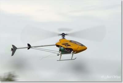 The aero scouts_DSC_106.JPG