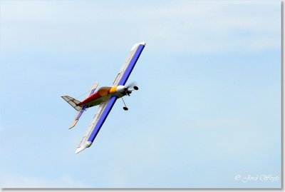 The aero scouts_DSC_111.JPG