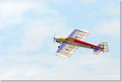 The aero scouts_DSC_115.JPG