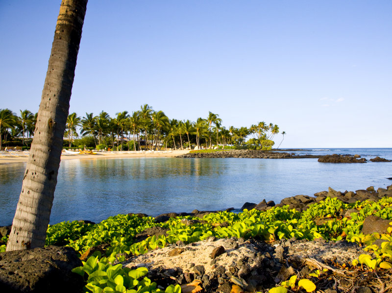 Morning on the coast - Hawaii