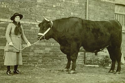 StephenBusby HS48.jpg