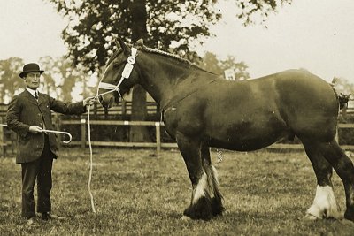 StephenBusby HS49.jpg