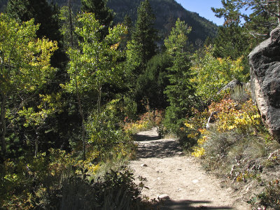 IMG_1564  A  Glance Back at the Trail